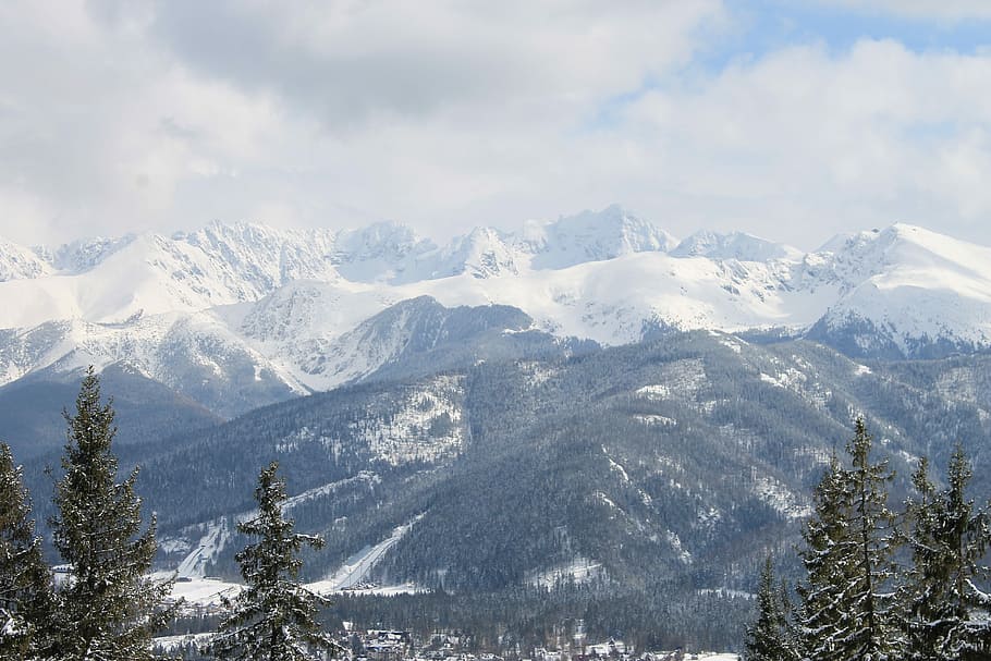 snow, mountain, winter, cold, cold temperature, tree, plant HD wallpaper