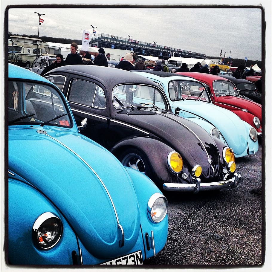 four assorted-color Volkswagen Beetle coupes photo, Vw Beetle
