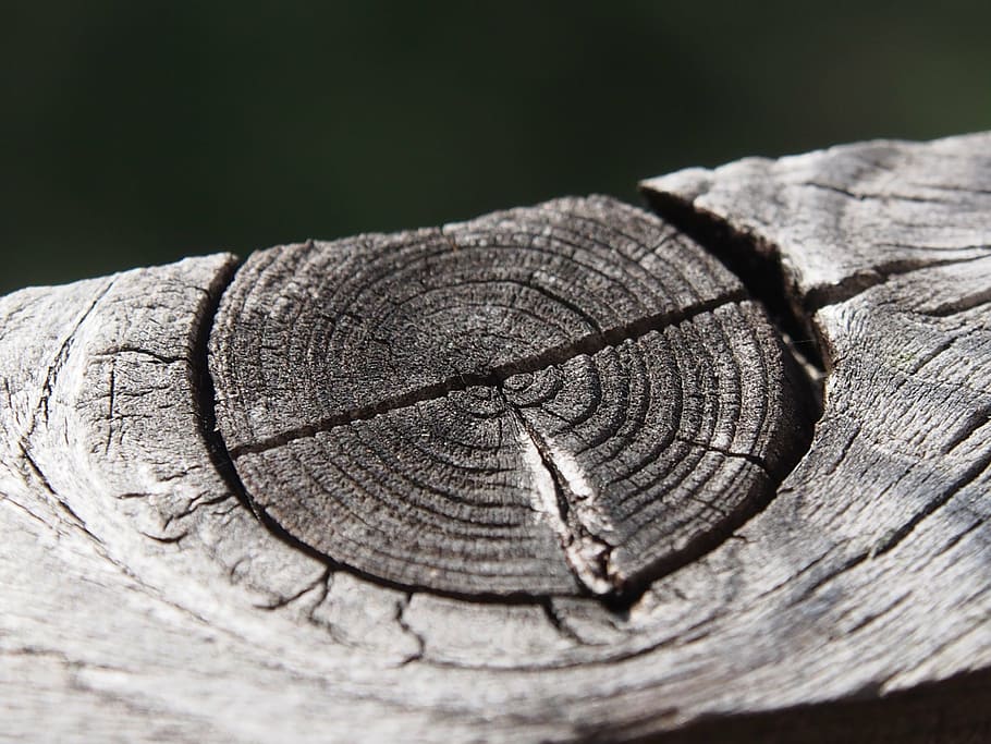 wood, grain, structure, altholz, wood core, close-up, wood - material HD wallpaper