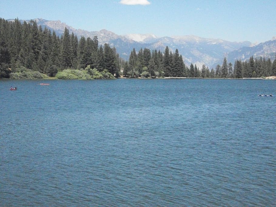 body of water, blue, ocean, mountain, valley, forest, trees HD wallpaper