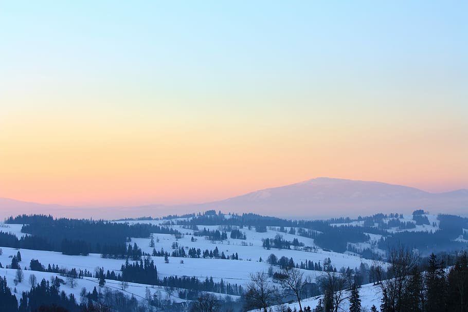 bird's-eye view photo of landscape field covered by snow with trees, landscape photo of trees and mountains during golden hour HD wallpaper