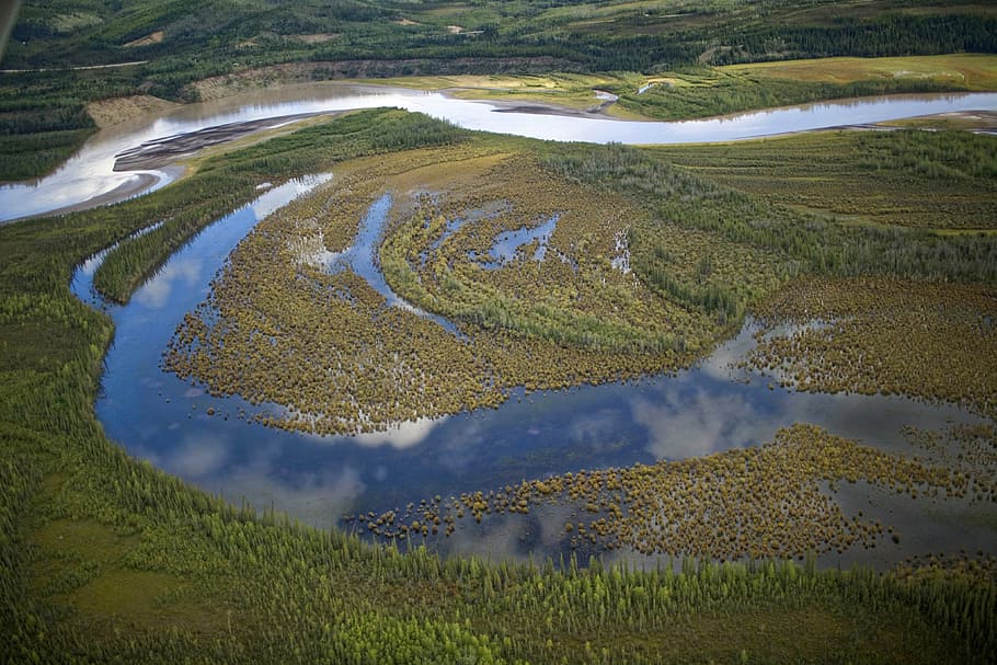 aerial, river, lakes, forest, tetlin national wildlife refuge HD wallpaper