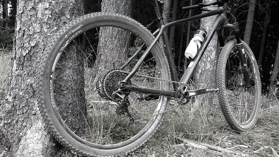 Bike, Trek, Mtb, 29Er, Bontrager, 1x11, forest, single track, HD wallpaper