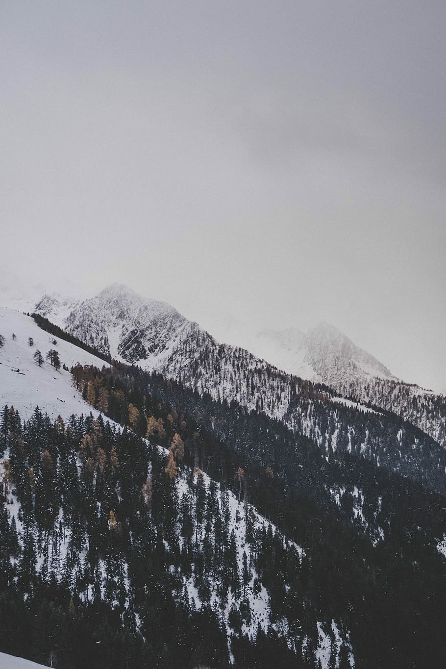 mountain covered by snow and trees, snow-covered mountain, cloud HD wallpaper