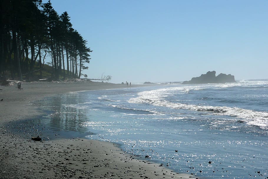 ruby beach, washington, usa, landscape, shoreline, pacific HD wallpaper