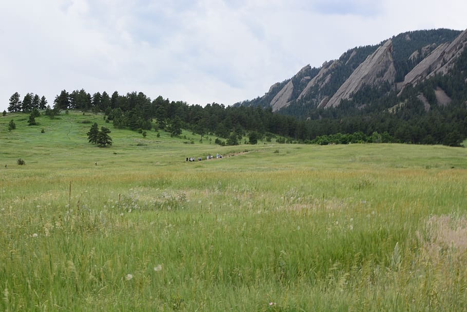 boulder, landscape, mountain, grass, plant, sky, environment HD wallpaper