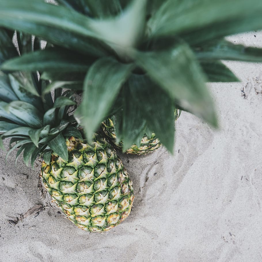 two pineapples, fruit, tropical, food, healthy, fresh, sweet HD wallpaper