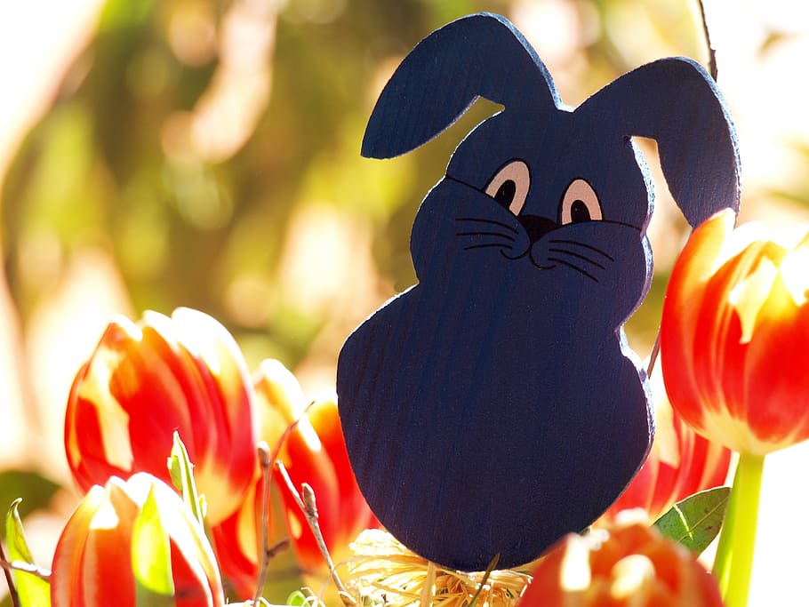 easter bunny, rabbit, customs, easter egg, colorful, figure HD wallpaper