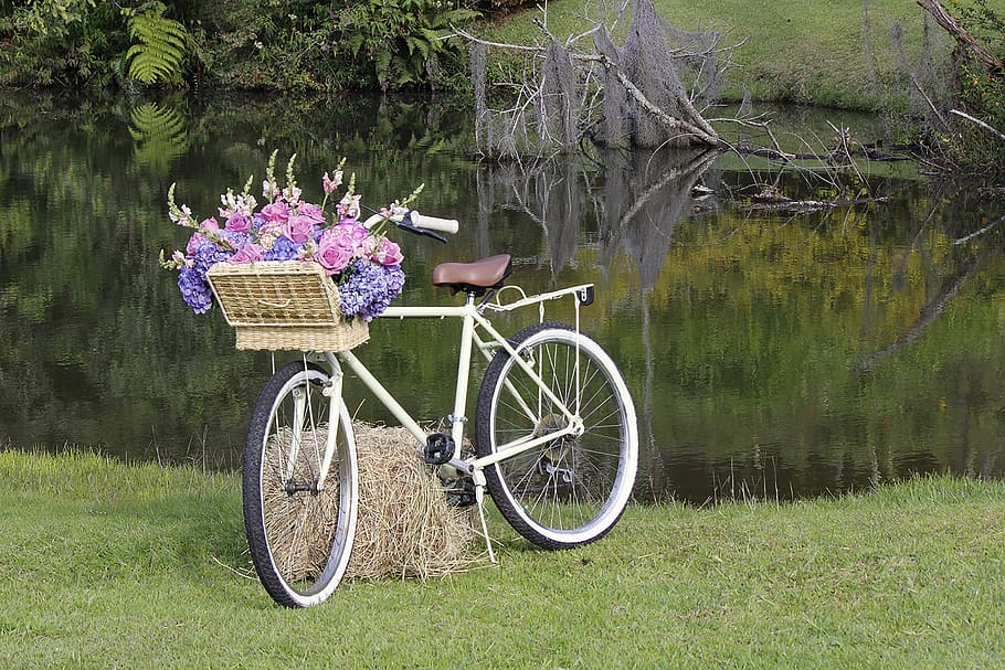 lawn, bike old, nature, wedding, flowers, nuptials, marry, decoration, HD wallpaper