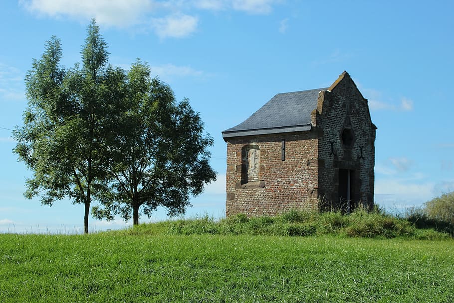 chapel, trees, green, heritage, charleroi, plant, architecture HD wallpaper