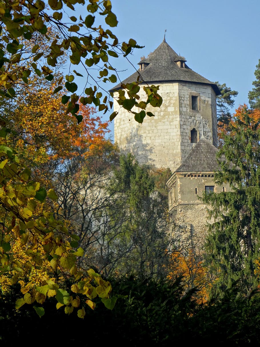 the founding fathers, poland, castle, the museum, the ruins of the HD wallpaper