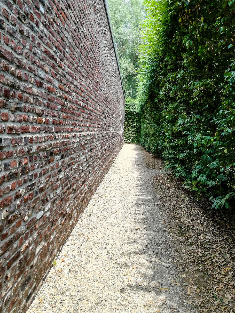 Wall, Hedge, Vanishing Point, perspective, away, vanishing point perspective, HD wallpaper