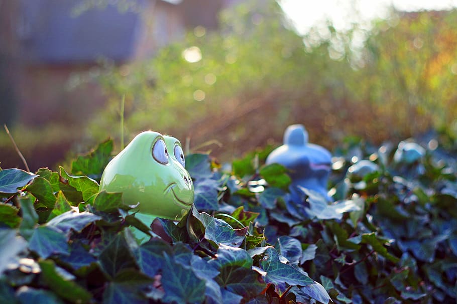 frogs, hedge, garden, figure, funny, nature, green, november HD wallpaper