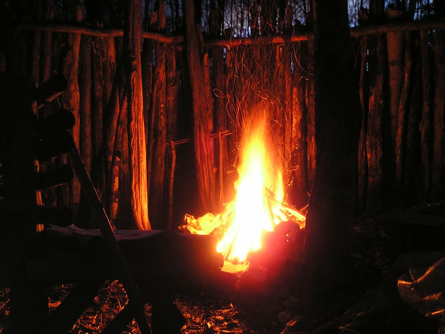 lighter fire between trees, flame, barbecue, campfire, embers HD wallpaper