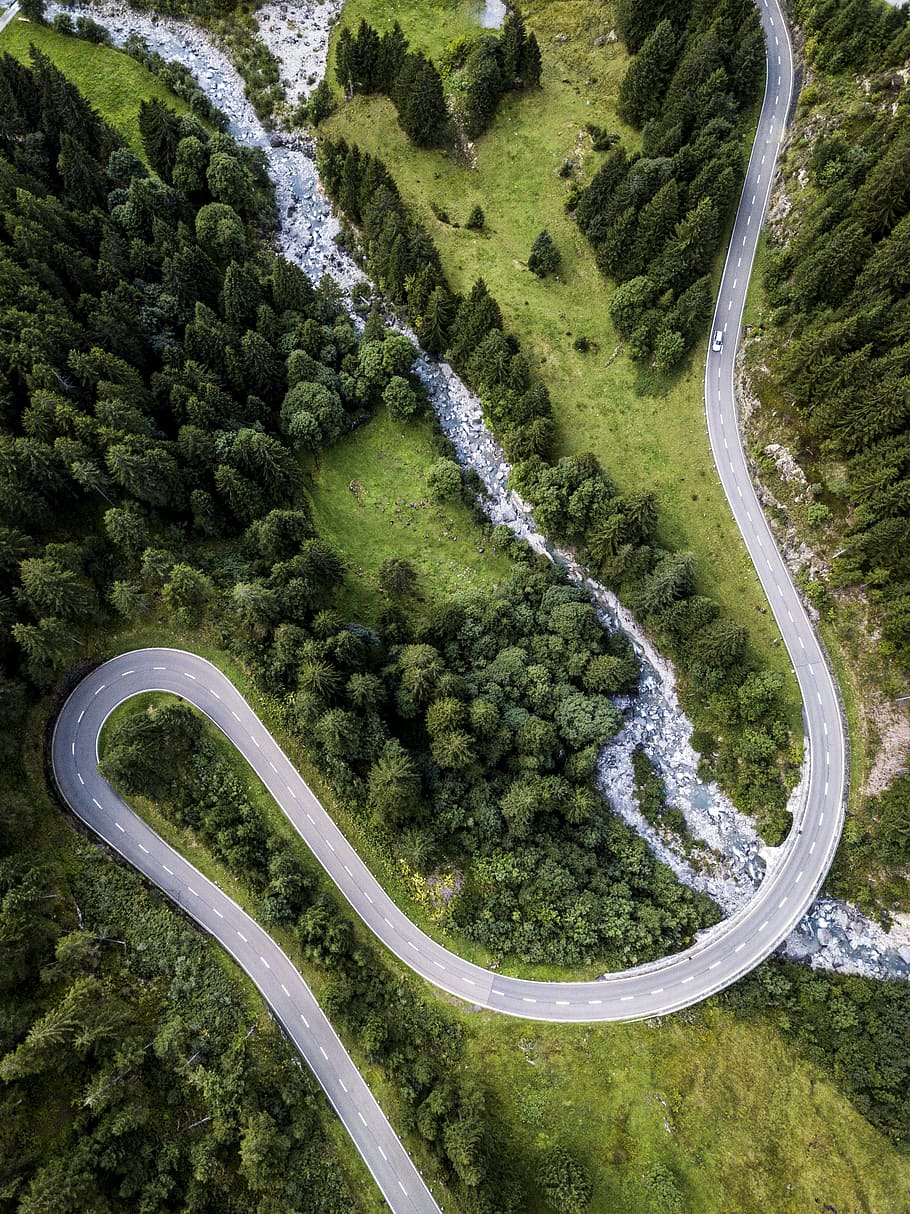 aerial photography of green forest, bird's eye view of forest and road