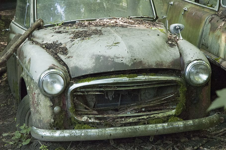 Auto, Car, Cemetery, Oldtimer, Stainless, car cemetery, stainless karre HD wallpaper