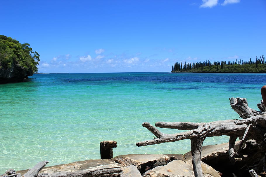 Blue, Water, Wood, sky, sea, scenics, nature, tranquil scene HD wallpaper