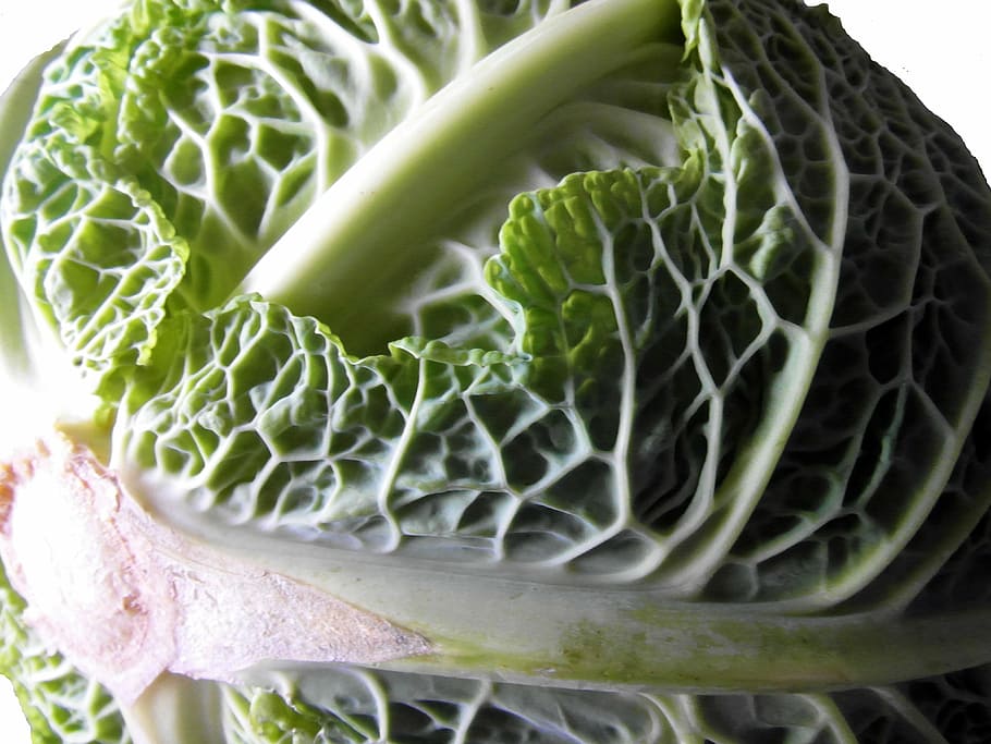 savoy cabbage, kohl, herb, food, vitamins, healthy, eat, green