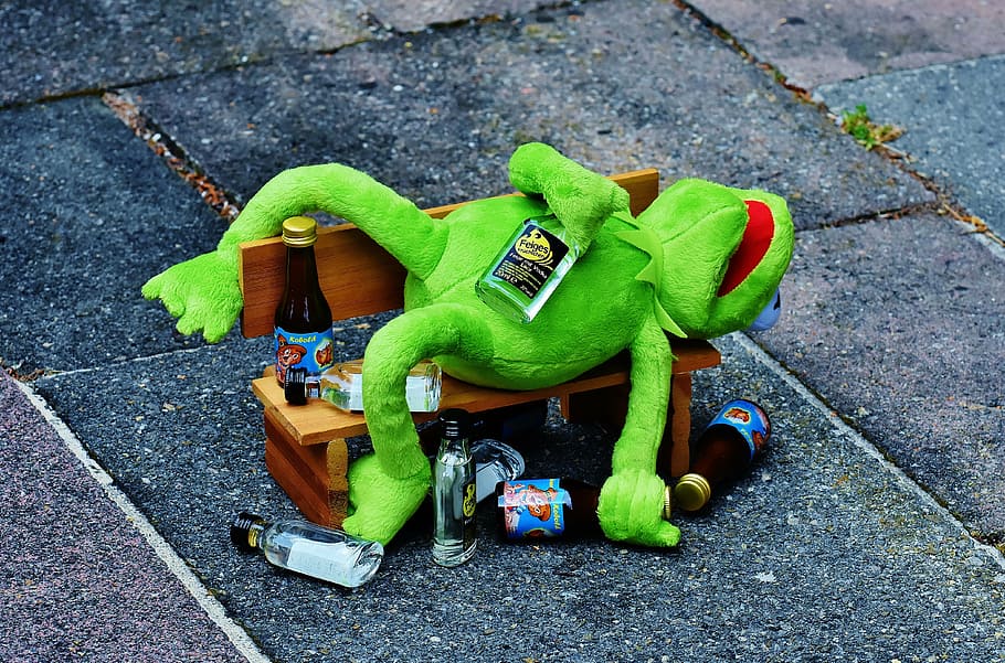 Kermit the frog plush toy on bench during daytime, drink, alcohol
