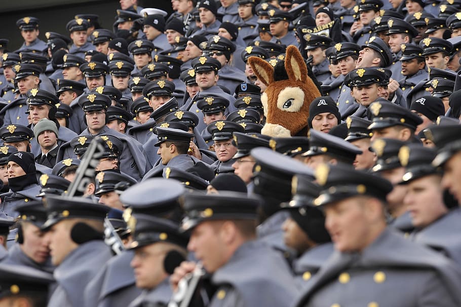 group of people lining up, cadets, army, crowd, donkey, mascot HD wallpaper