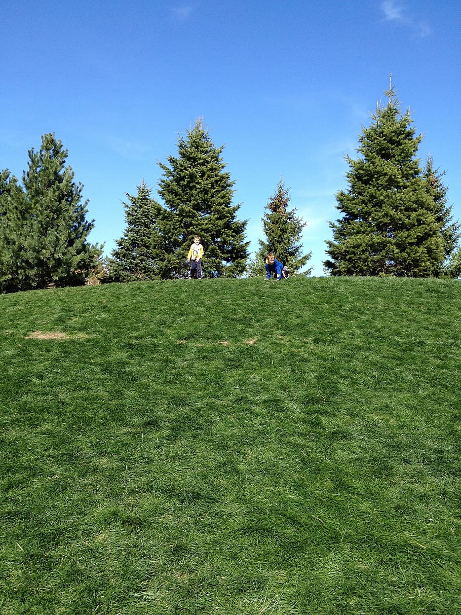 children, playing, fun, happy, hill, grass, rolling down, nature HD wallpaper