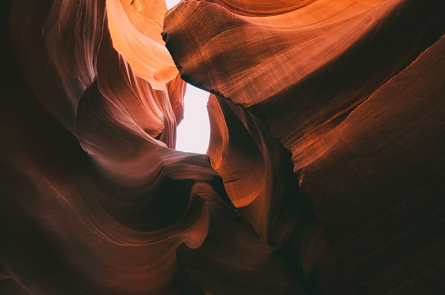 Grand Canyon, photography, brown, tree, trunks, nature, cave HD wallpaper