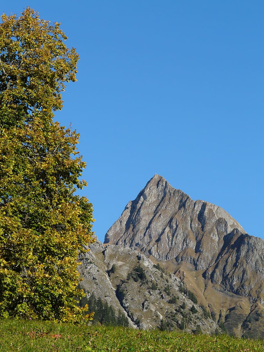 Höfats, Mountain, postkartenmotiv, calendar image, autumn, HD wallpaper