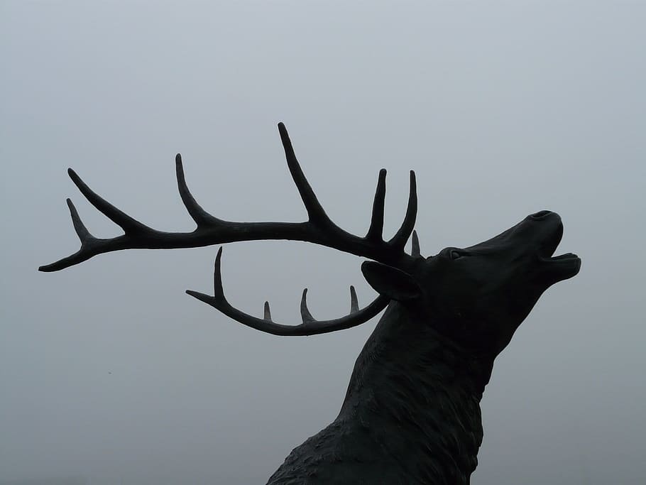 low light photo of buck, red deer, bronze statue, hirsch, cervidae HD wallpaper