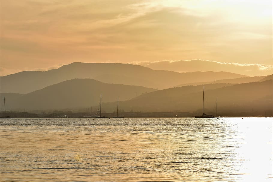 sunset, mood, back light, coast, landscape, grasses, france HD wallpaper