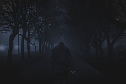 person walking between trees, person wearing hoodie walking in pathway between tall trees during nighttime HD wallpaper
