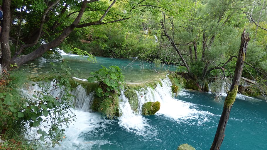 plitvice, croatia, waterfall, cascade, park, tree, plant, beauty in nature HD wallpaper