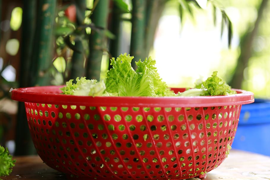 vegetables, vegetable basket, green, red, food and drink, freshness HD wallpaper