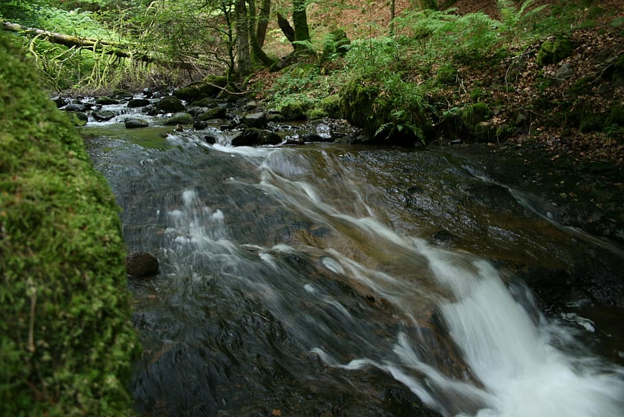 river, movement, nature, water, flowing water, beauty in nature HD wallpaper