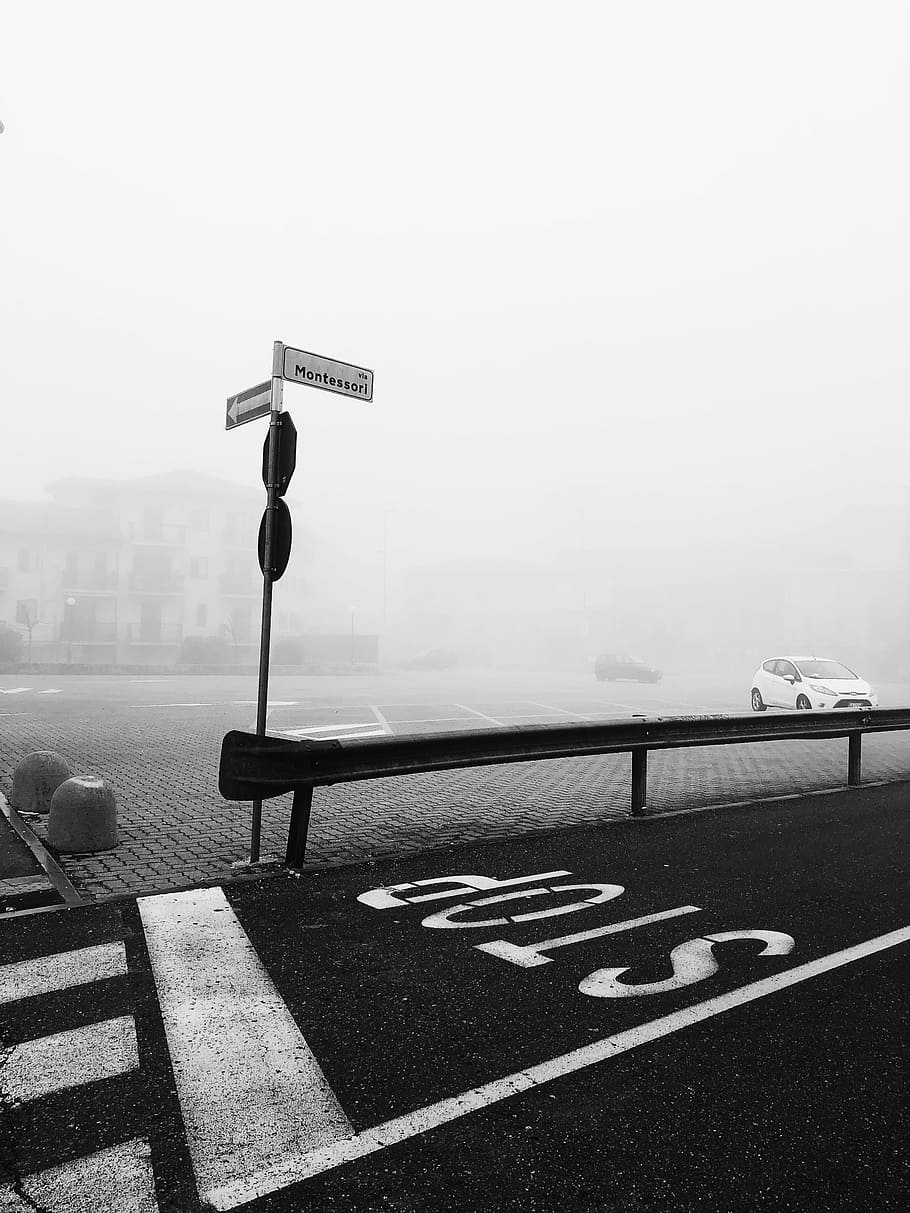 photography of paved road cover by fog, grayscale photography of street sign, HD wallpaper