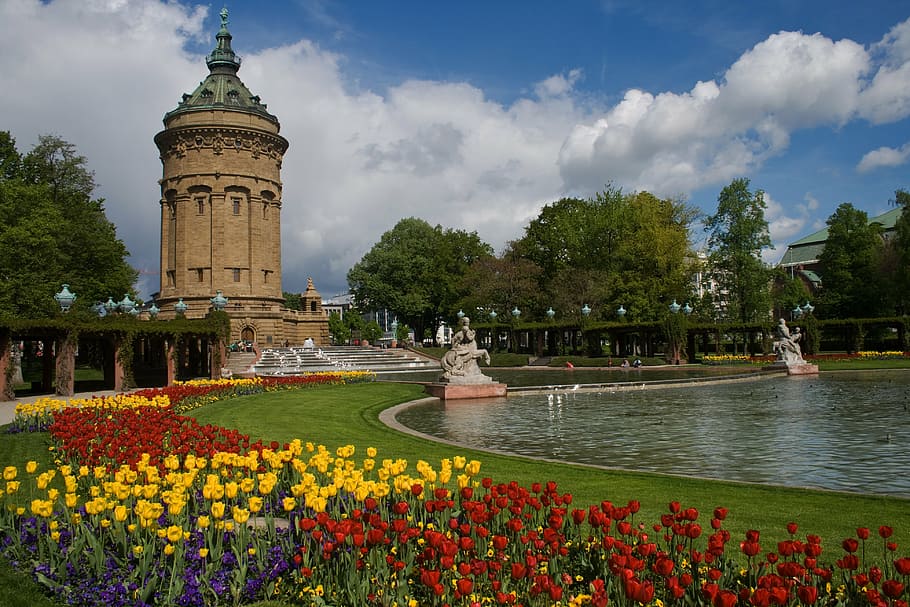 mannheim, water tower, flowers, plant, flowering plant, architecture HD wallpaper