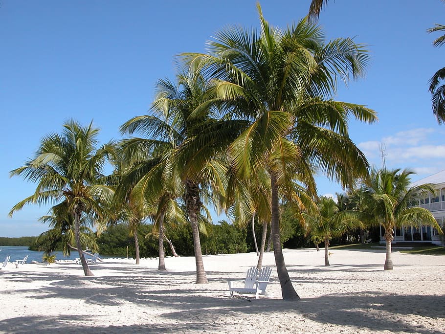 Florida, Ocean, Keys, Beach, Travel, vacation, sea, tropical HD wallpaper