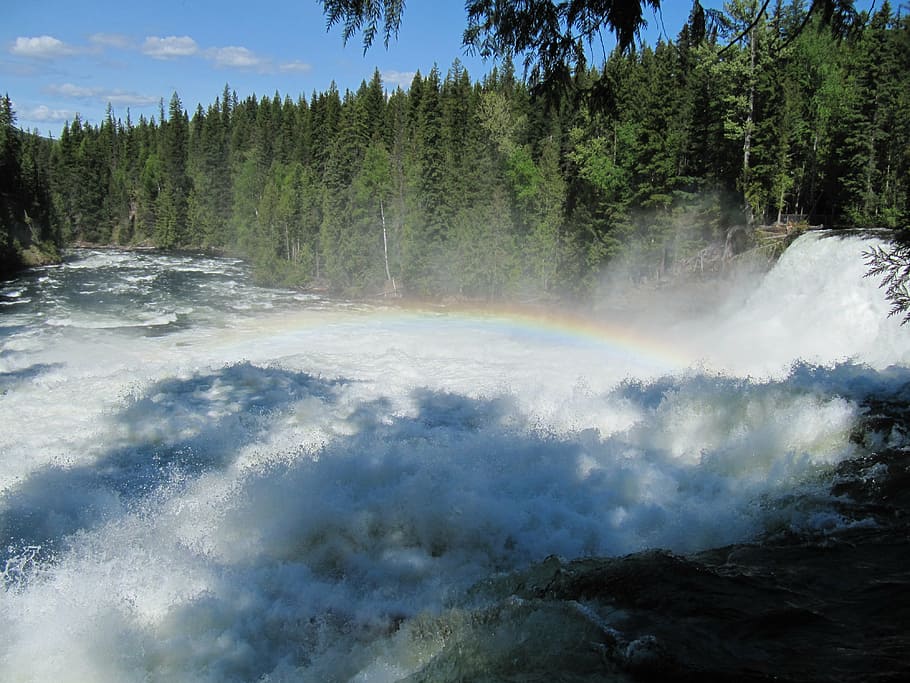 waterfall, rainbow, nature, pine trees, canada, green, blue HD wallpaper