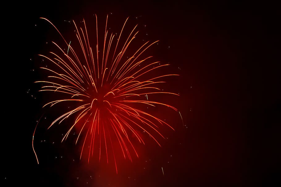 fireworks on sky, black, burst, celebrate, celebration, dark, HD wallpaper