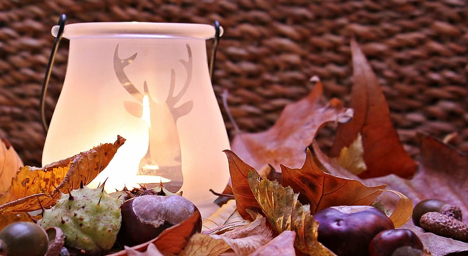 white frosted glass vase with light on leafy surface, autumn mood, HD wallpaper