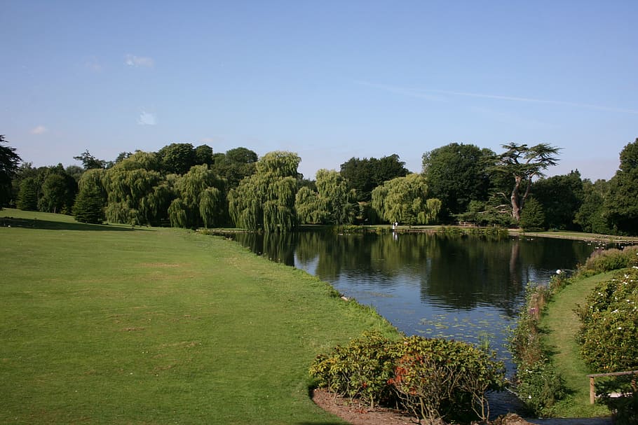 lake, lawn, trees, green, calm, tranquility, nature, grass HD wallpaper