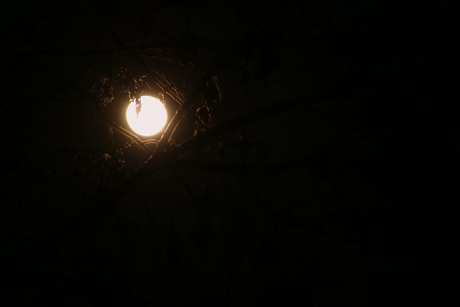 moon, night, winter, dark, sky, nature, landscape, night sky HD wallpaper