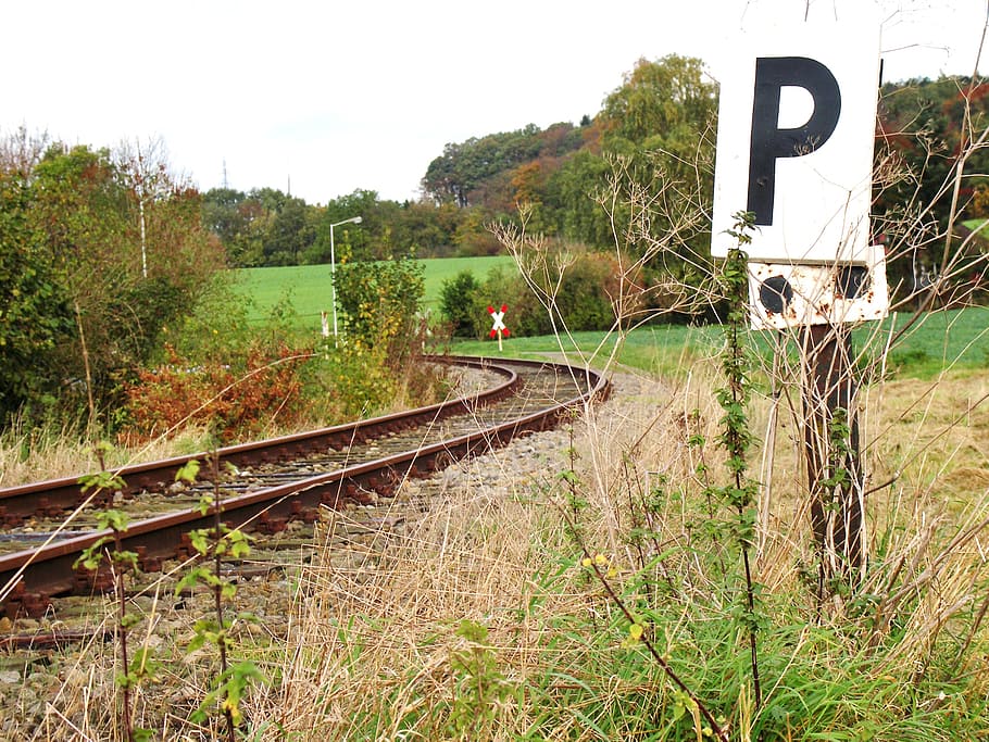 track, shield, leave, rail transportation, railroad track, plant HD wallpaper