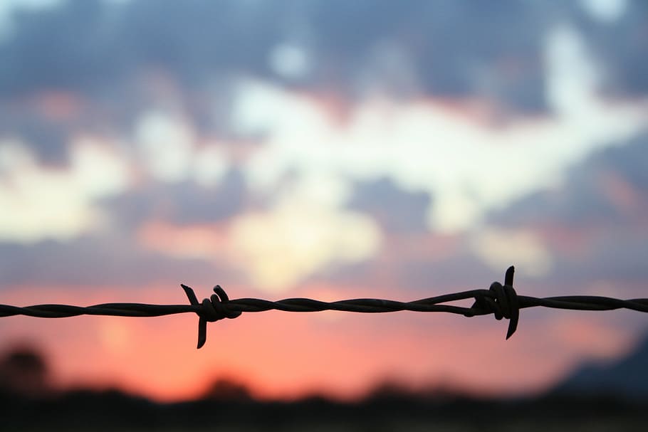 sunset, barbed wire, fence, clouds, protection, safety, security HD wallpaper