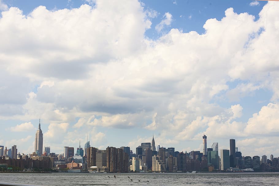 panoramic photo of buildings near body of water, cityscape HD wallpaper