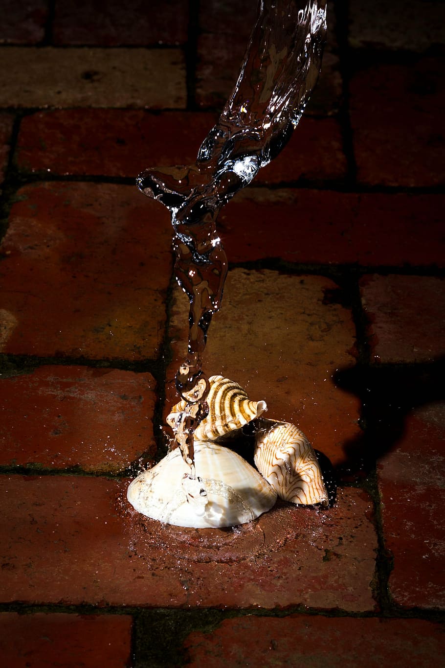 shells, water, ze, splash, bricks, falling water, no people HD wallpaper