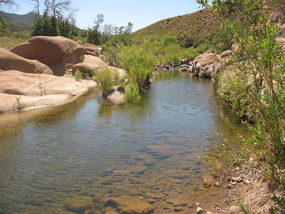 green grass beside river, Creek, Sespe, Wilderness, Desert, harsh, HD wallpaper