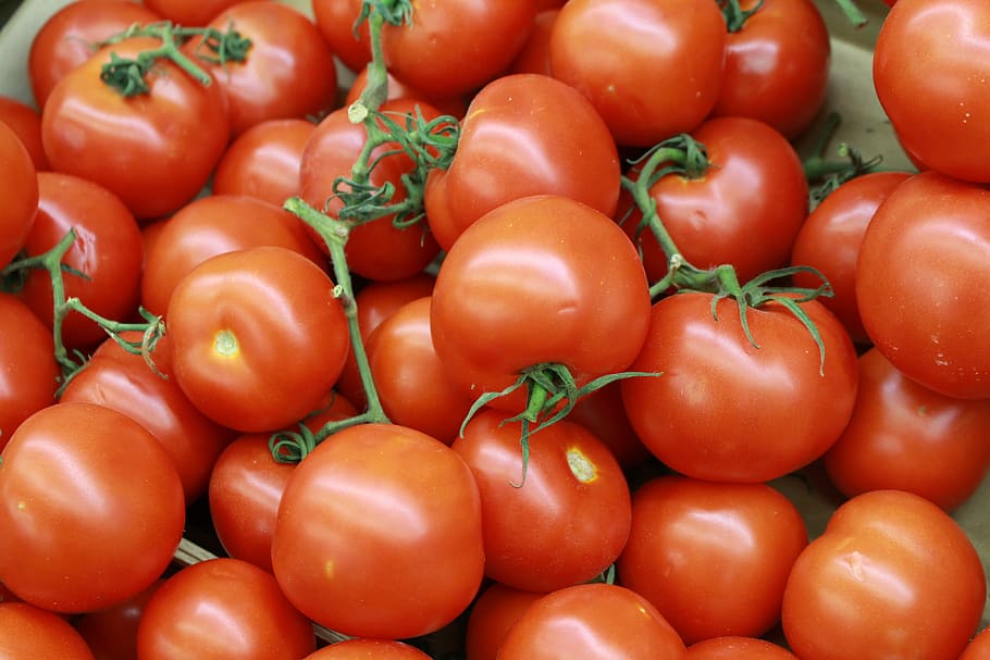 Tomatoes, Canary, Vegetable, canary tomatoes, red, food and drink HD wallpaper