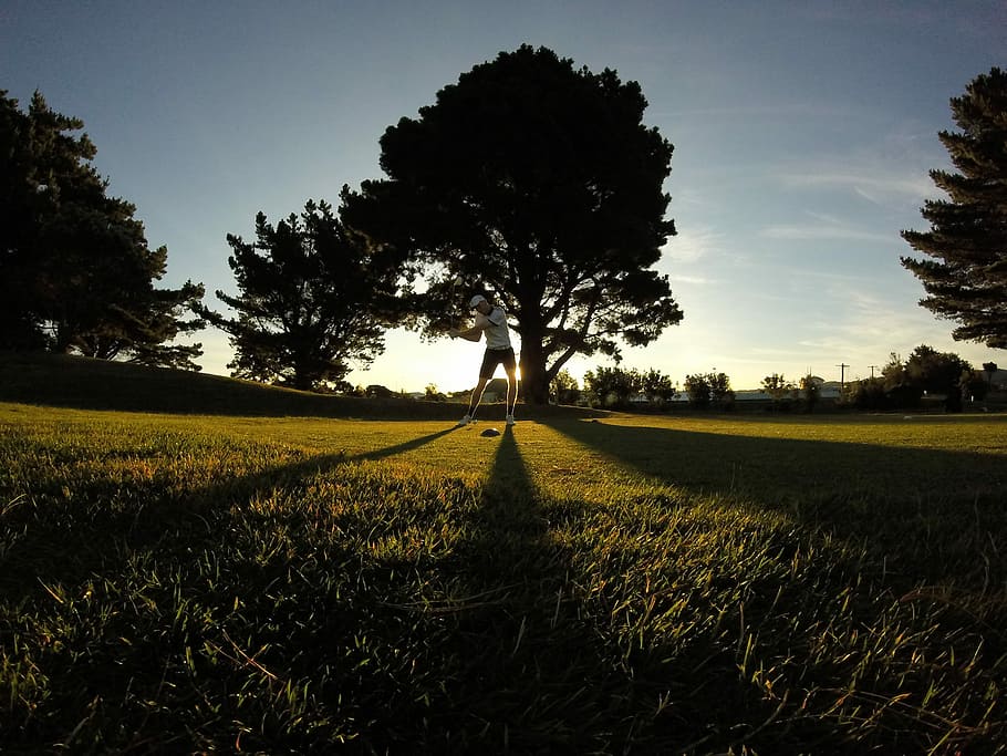 Shadows of Dome, man playing golf near trees, male, sport, green HD wallpaper