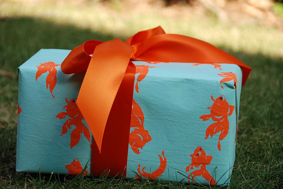 teal and orange fairy print gift box on the ground, present HD wallpaper