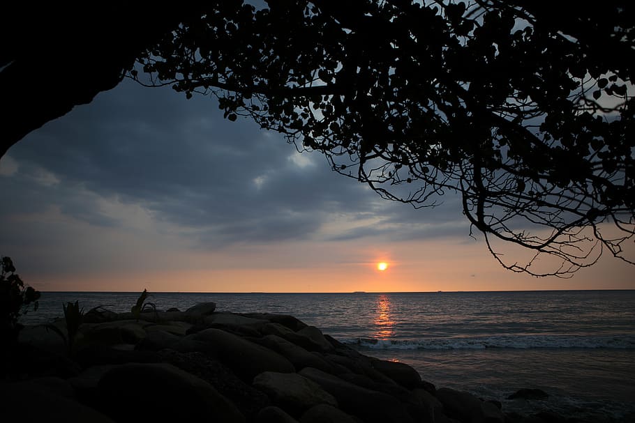 silhouette of tree near sea, padang beach, sunset, indonesia, HD wallpaper